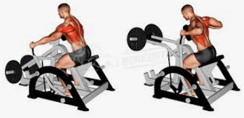 Seated Rowing Machine with Plates